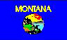 Montana Flagge