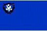 Nevada Flag